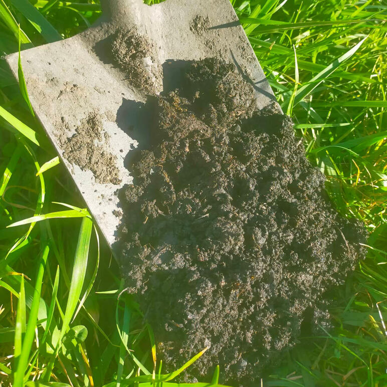 Biochar Vermicompost